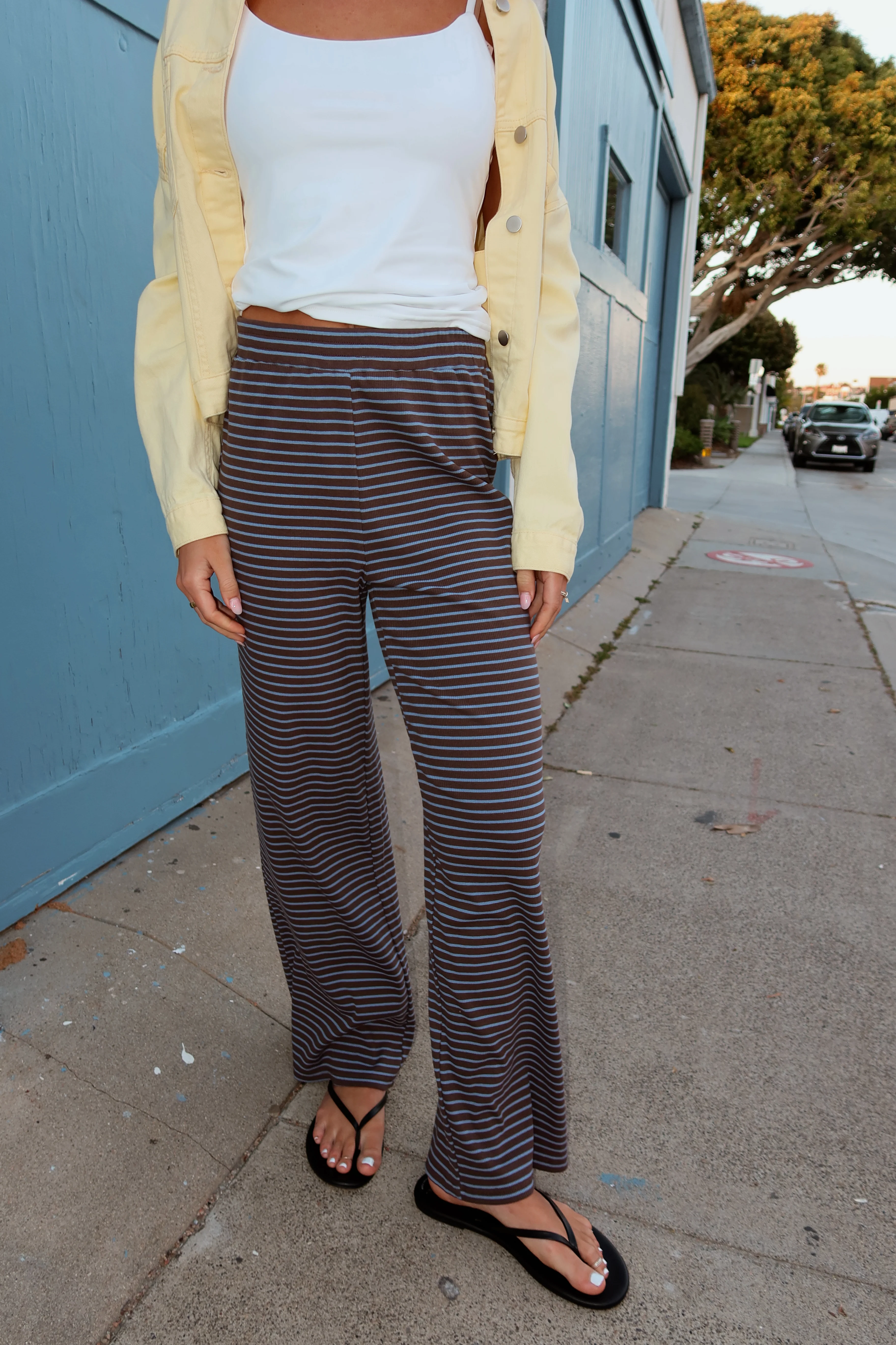Gigi Pinstripe Pants in Brown/Blue Pinstripe - Image 6