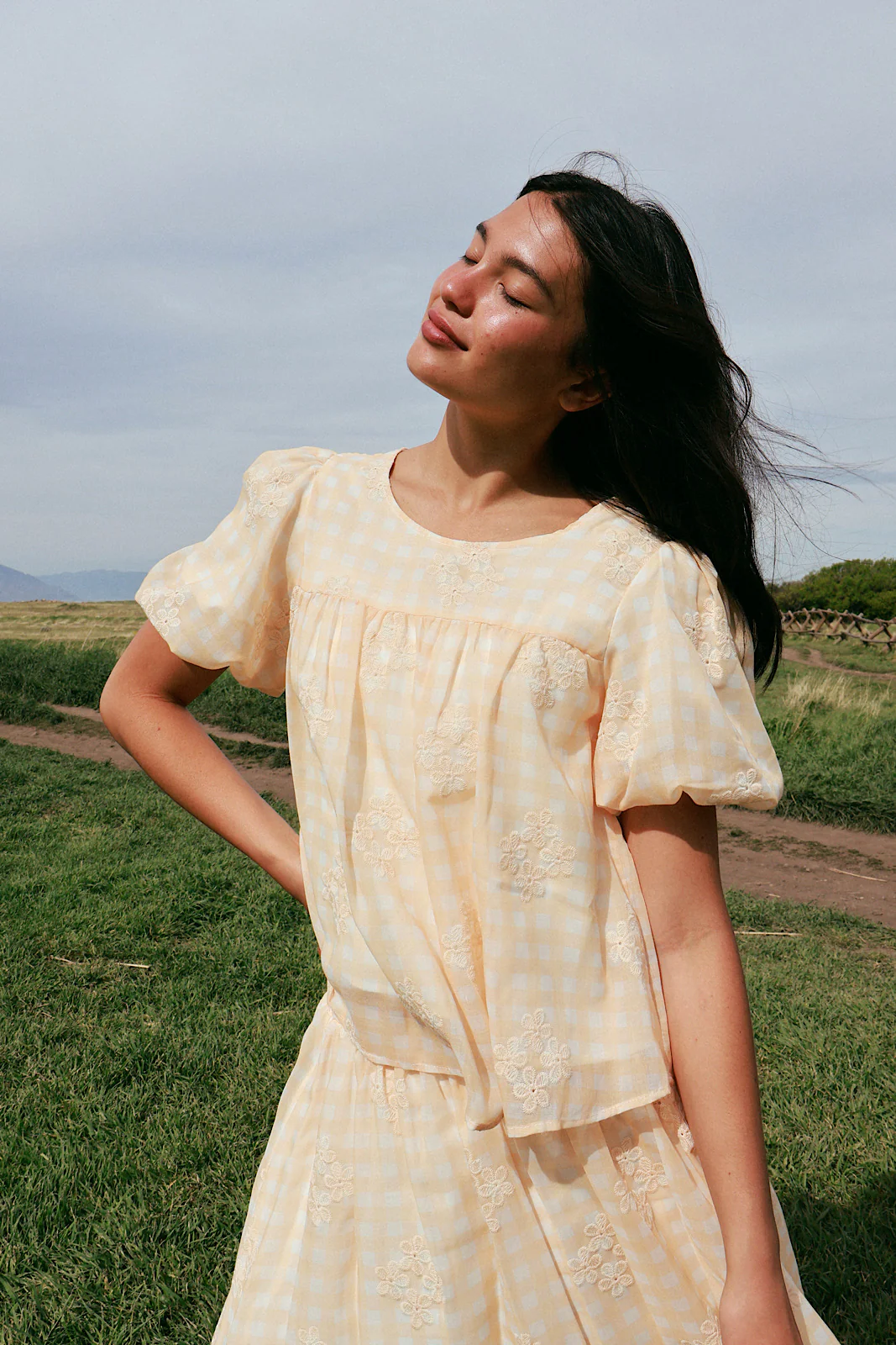 Holland Embroidered Gingham Blouse - Image 5