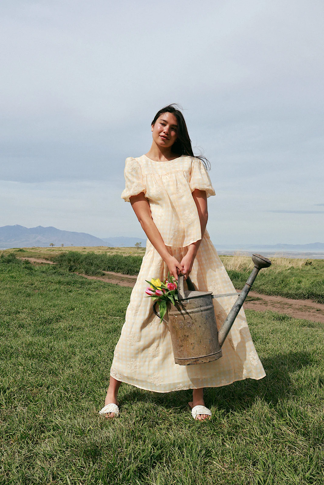 Holland Embroidered Gingham Skirt - Image 4