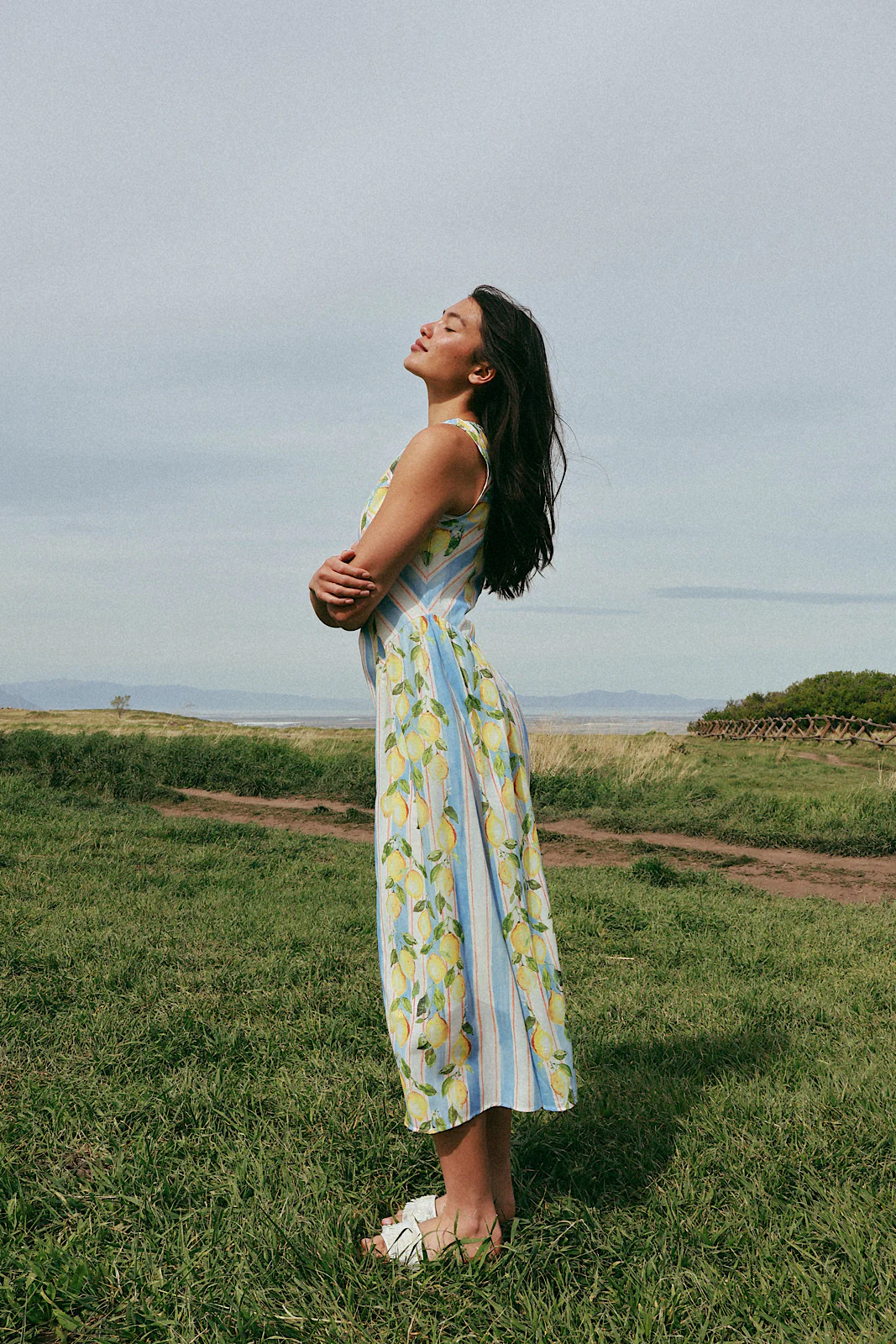 Limoncello Stripe Maxi - Image 3