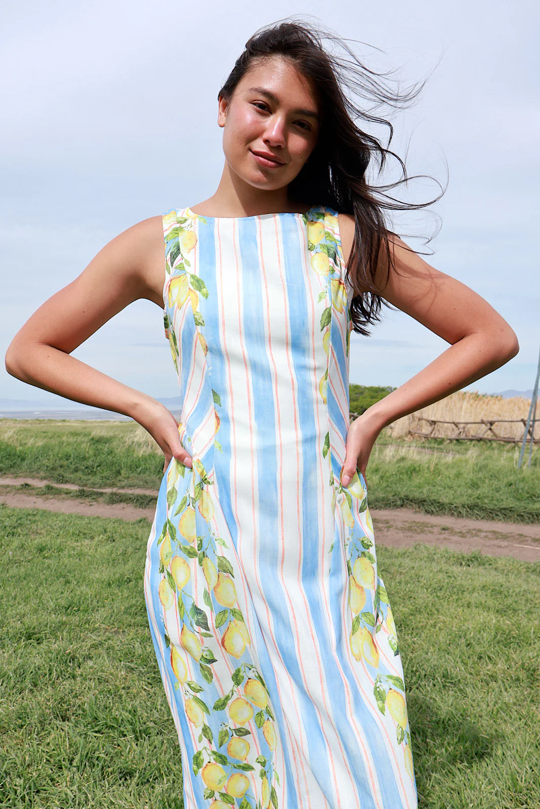 Limoncello Stripe Maxi - Image 4