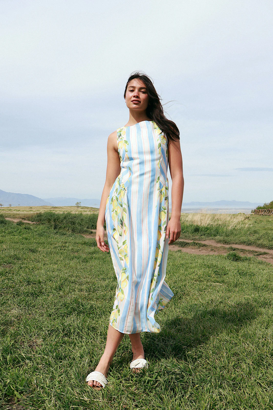 Limoncello Stripe Maxi - Image 5