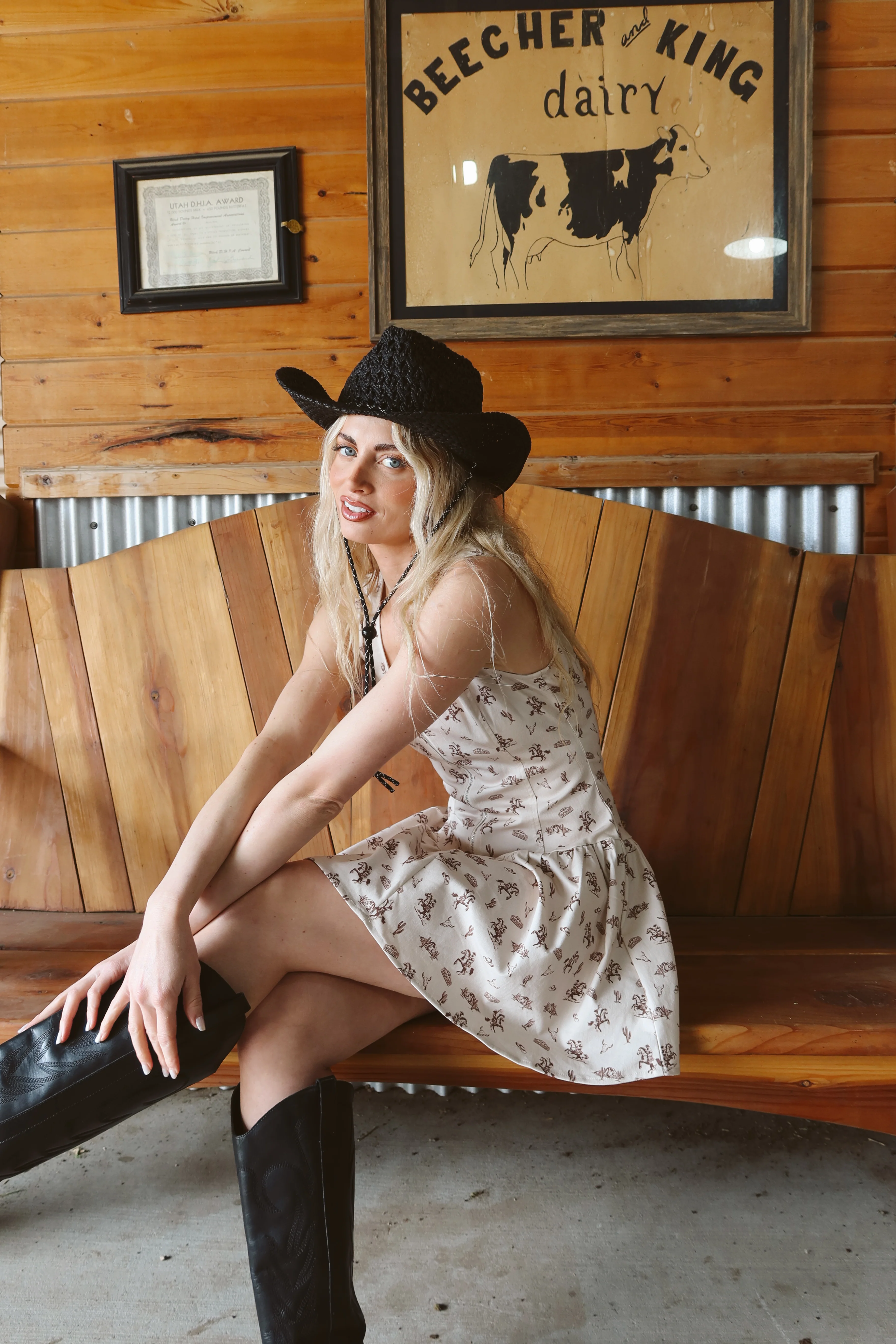 Lone Star Print Dress - Image 6