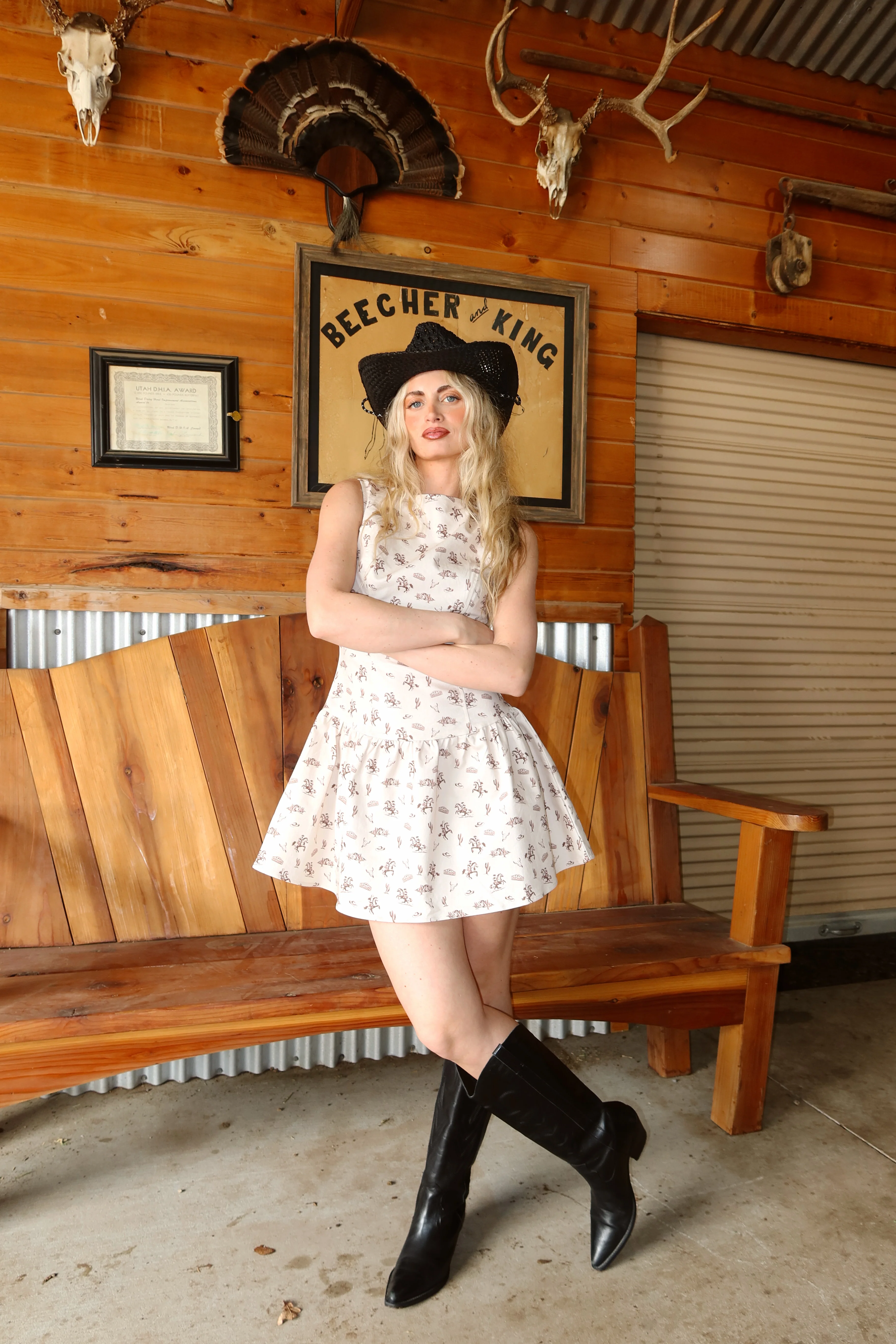 Lone Star Print Dress - Image 9