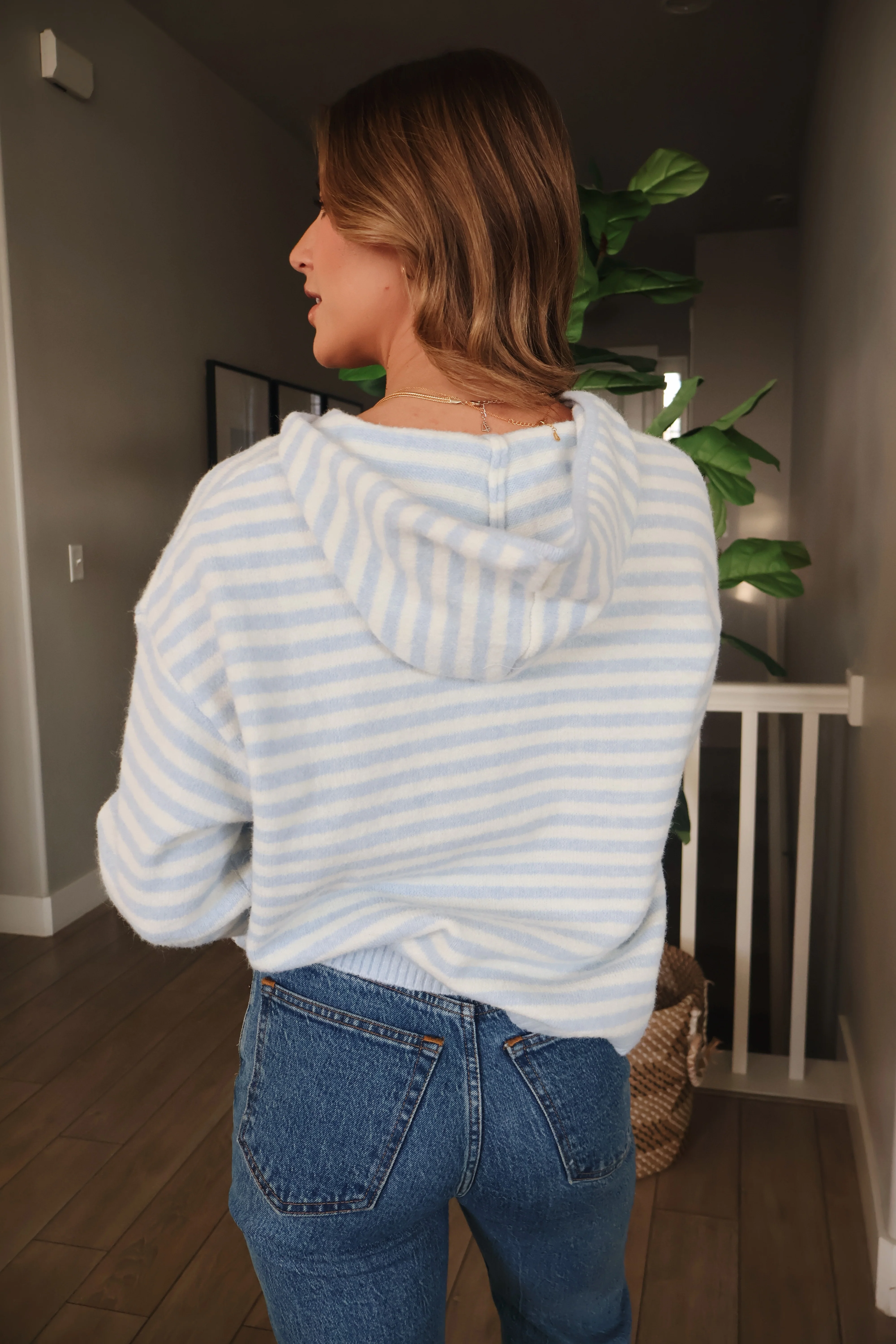 Myles Stripe Hooded Jacket in Baby Blue - Image 3