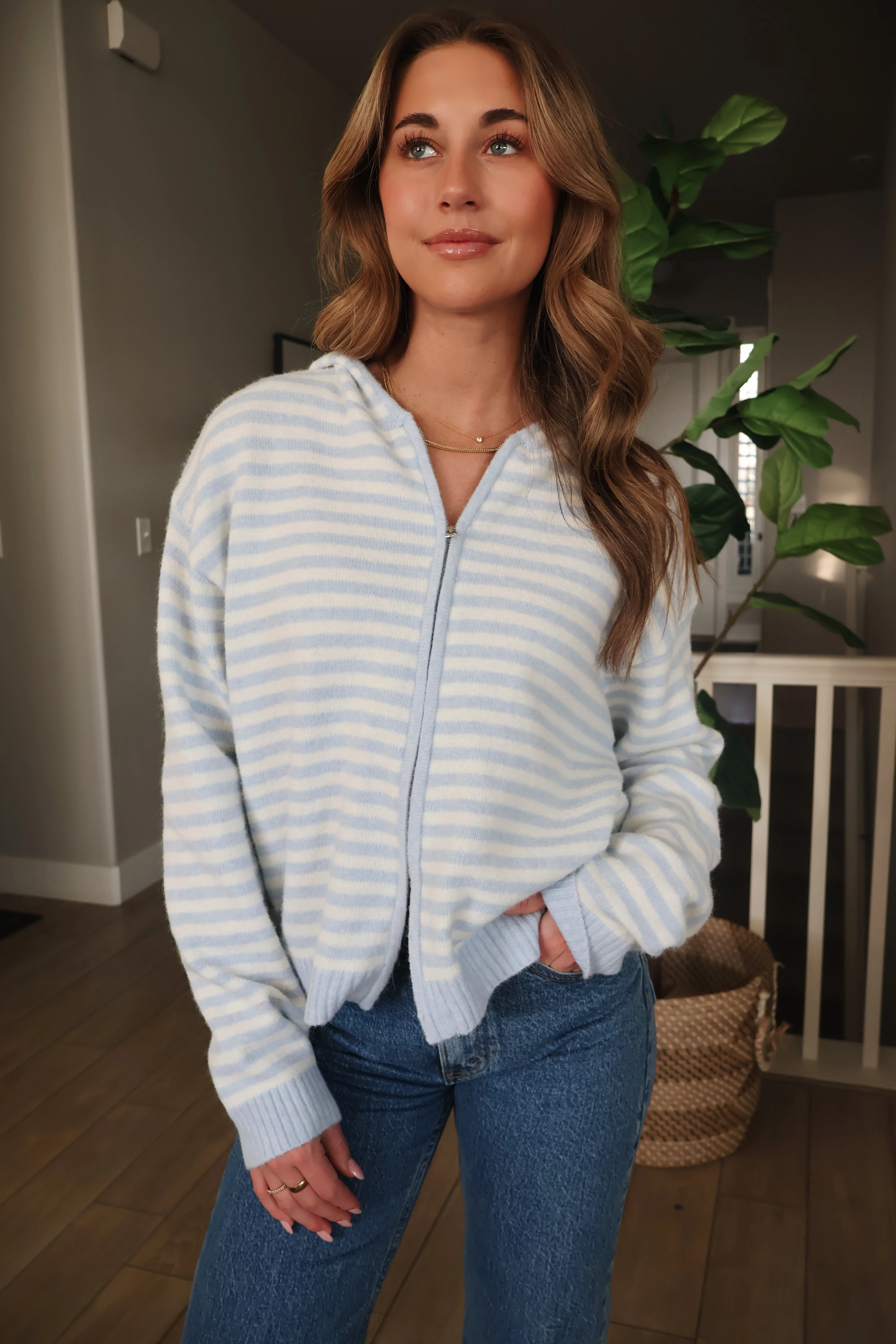 Myles Stripe Hooded Jacket in Baby Blue - Image 4