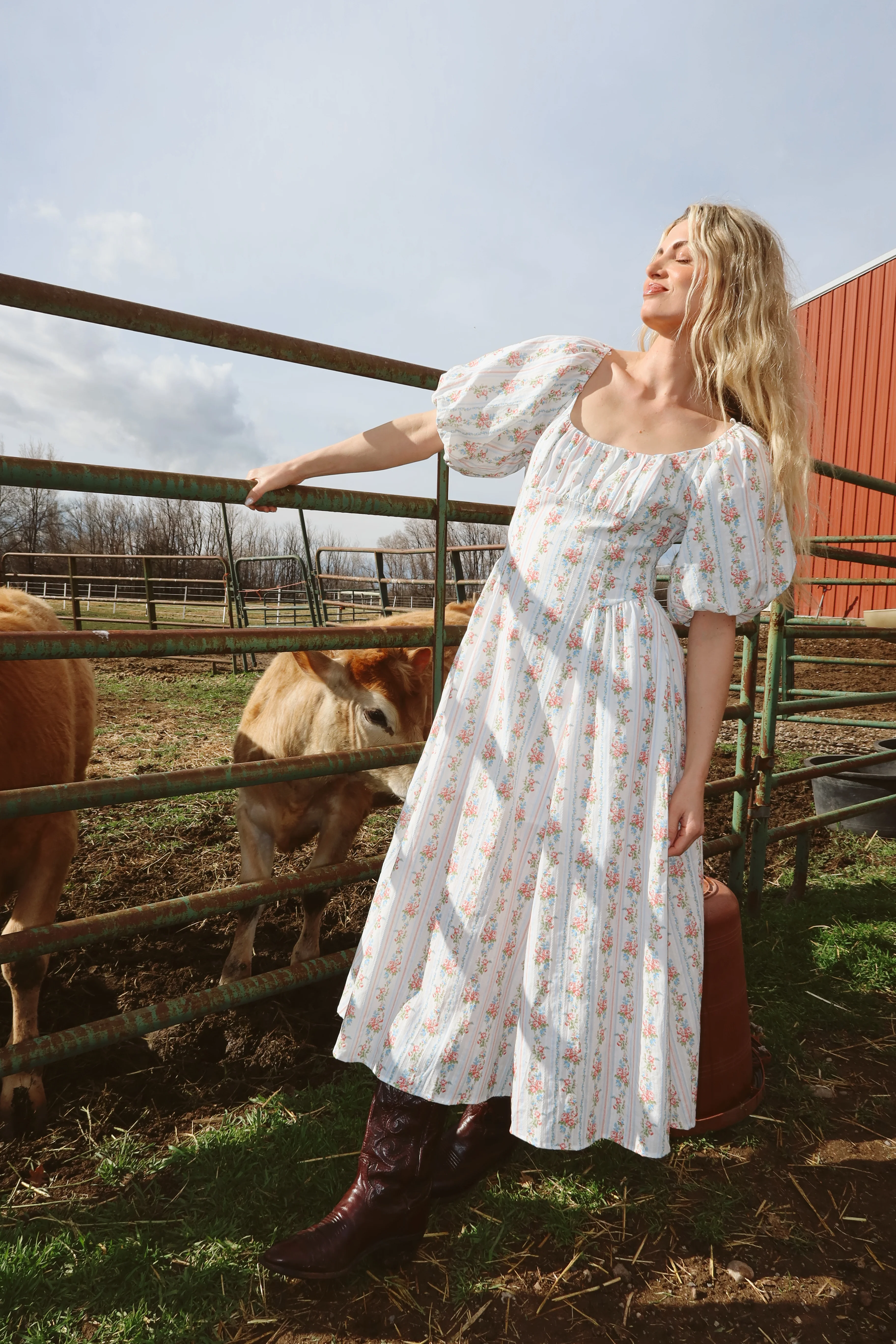 Prairie Rose Maxi - Image 3