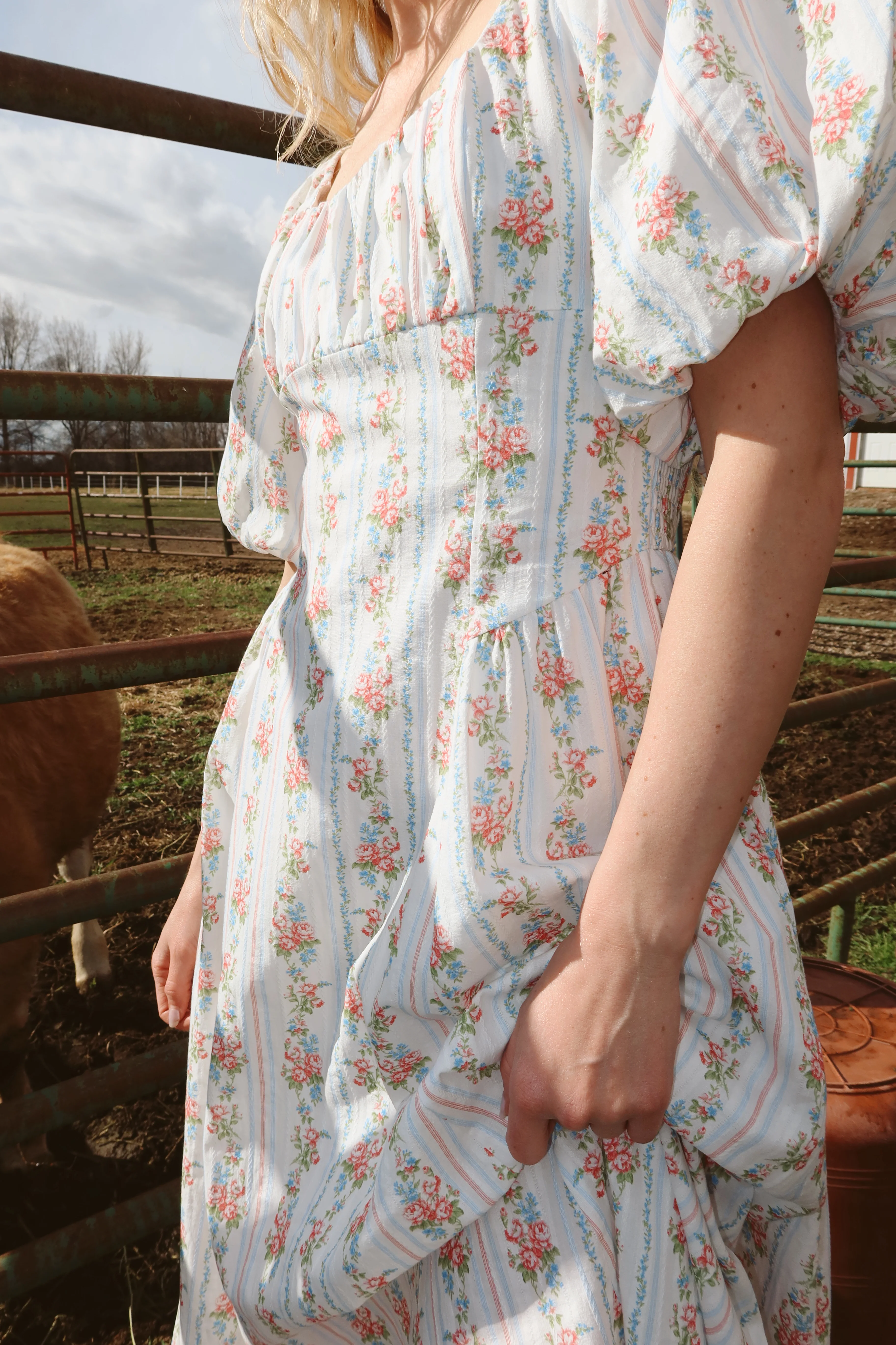Prairie Rose Maxi - Image 4
