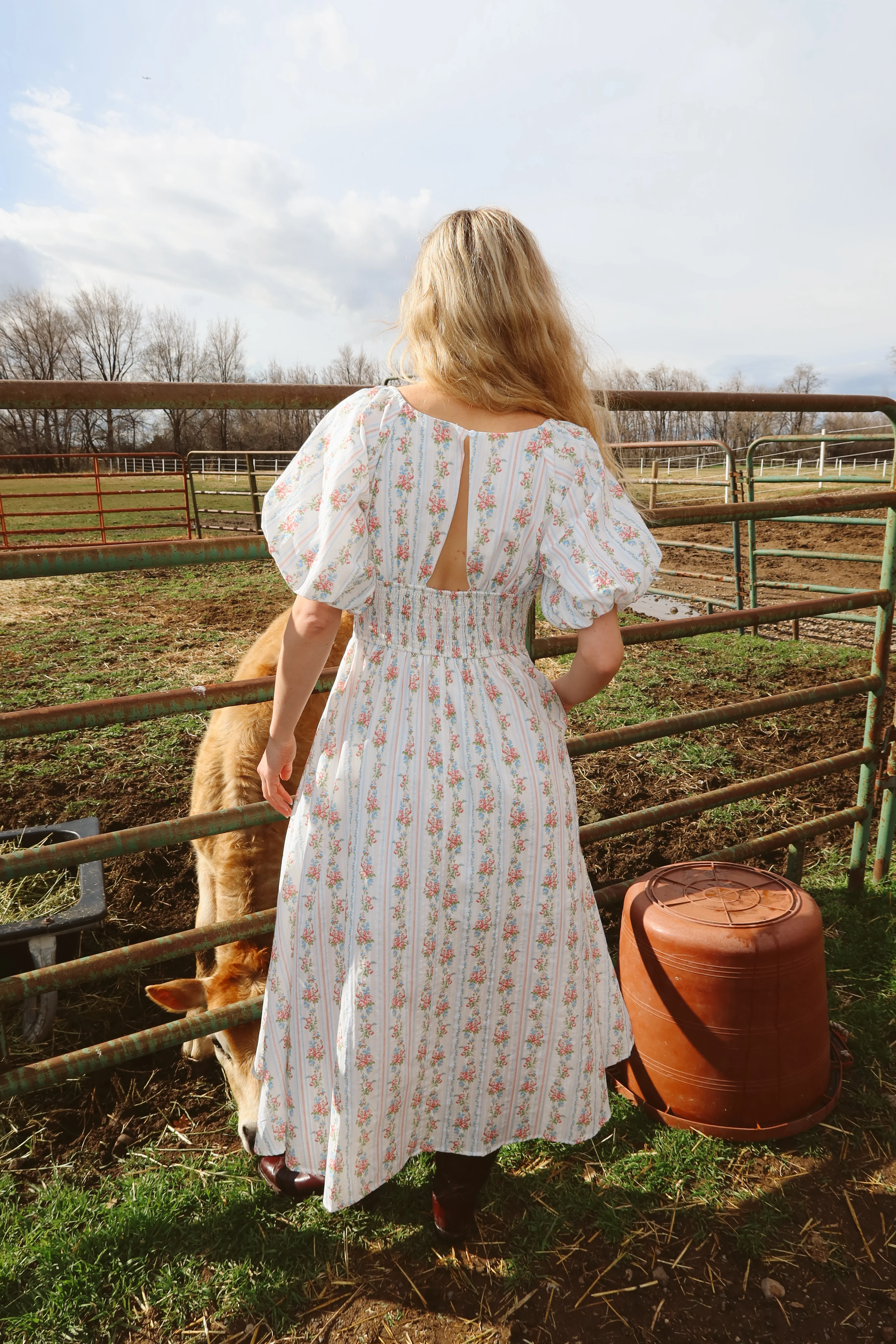 Prairie Rose Maxi - Image 5
