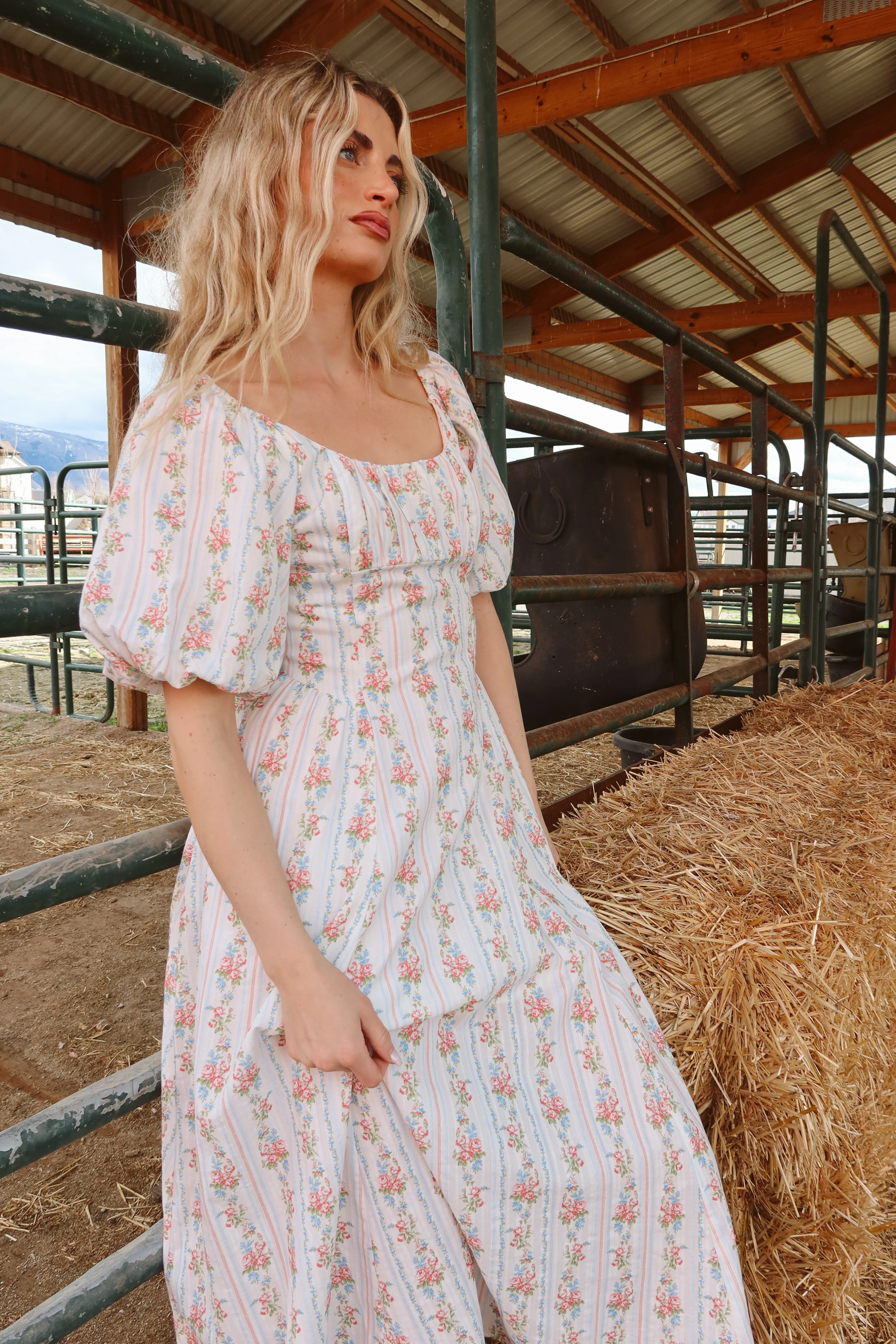 Prairie Rose Maxi - Image 8
