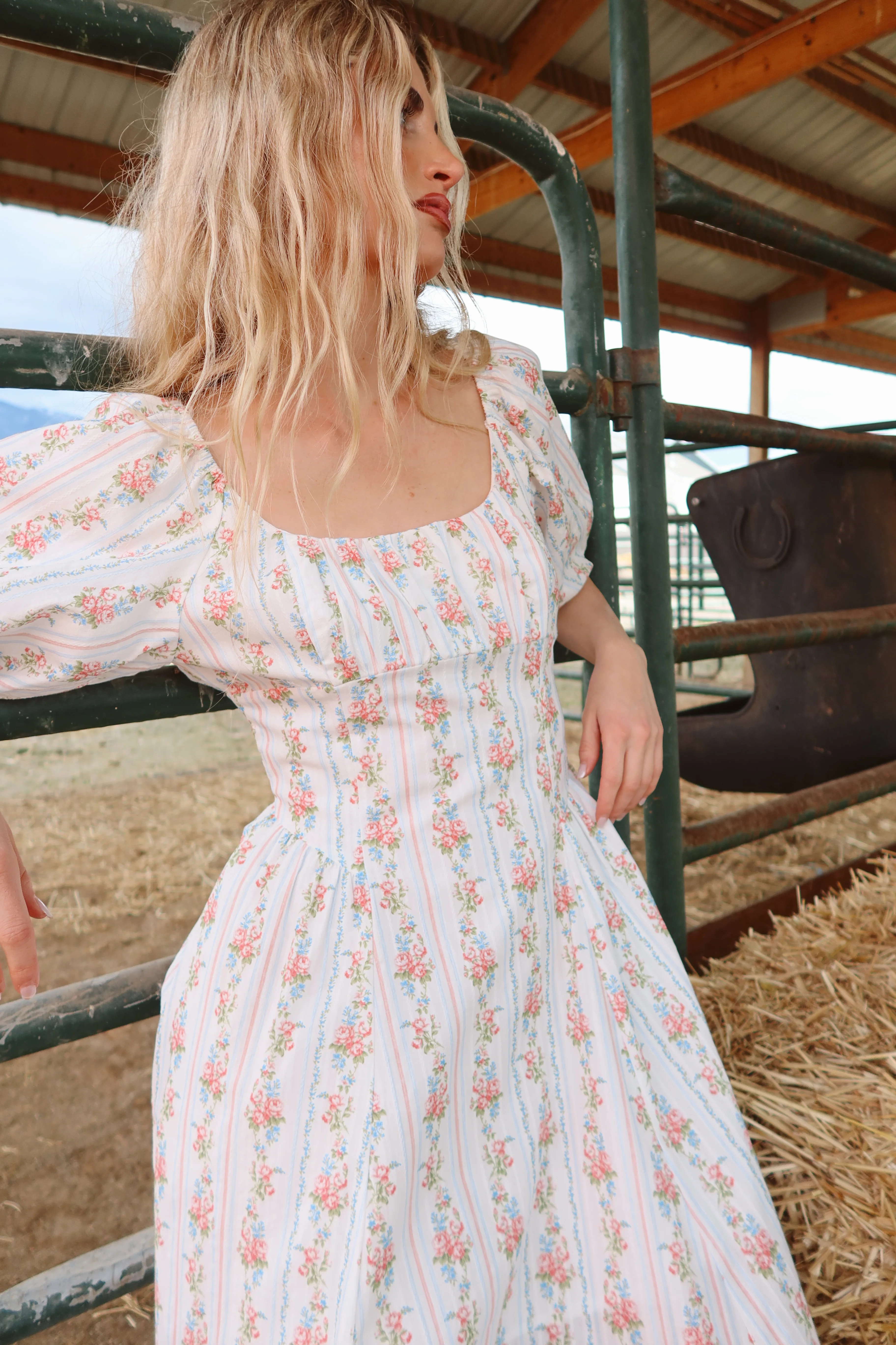 Prairie Rose Maxi - Image 9