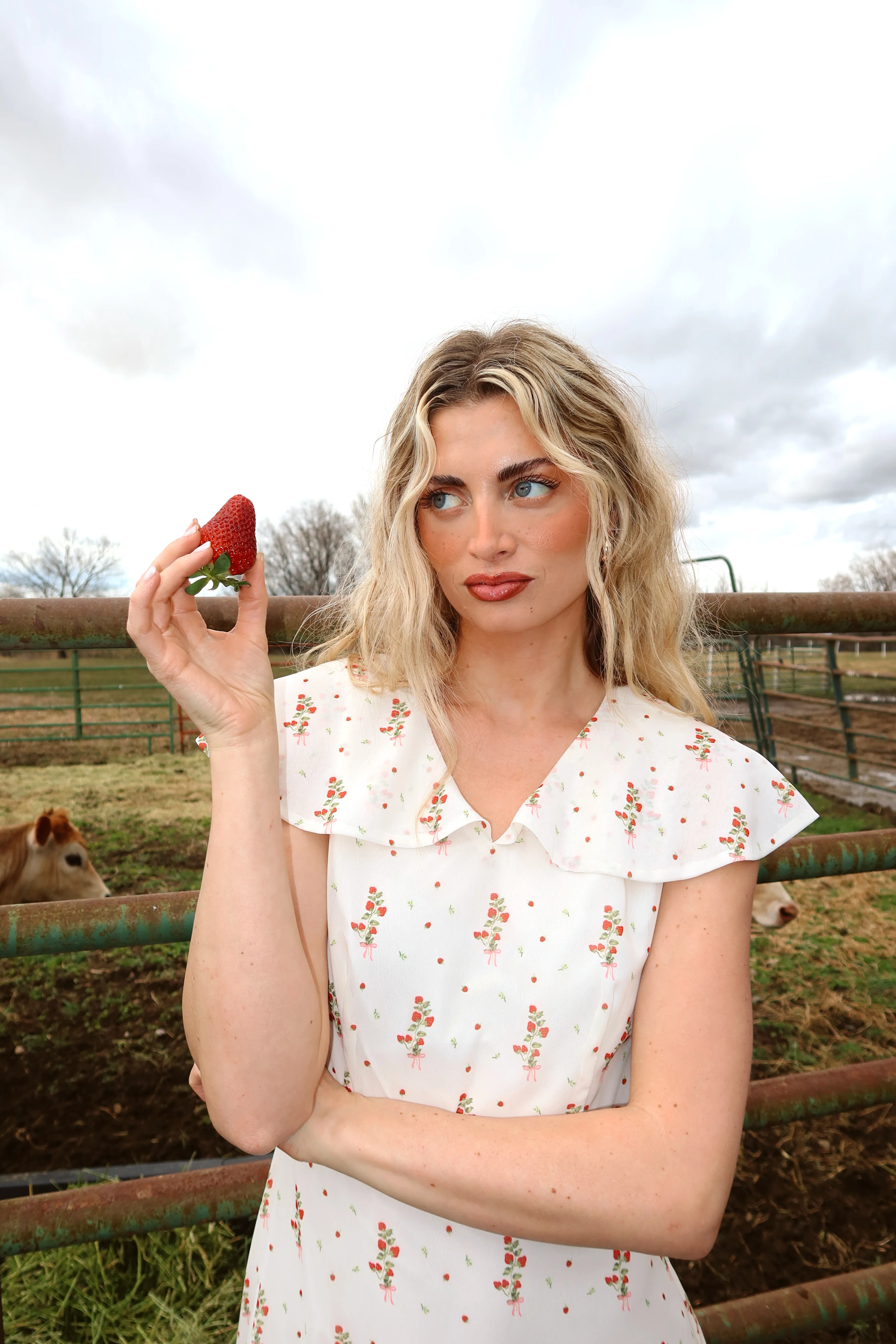 Strawberry Lane Dress - Image 12