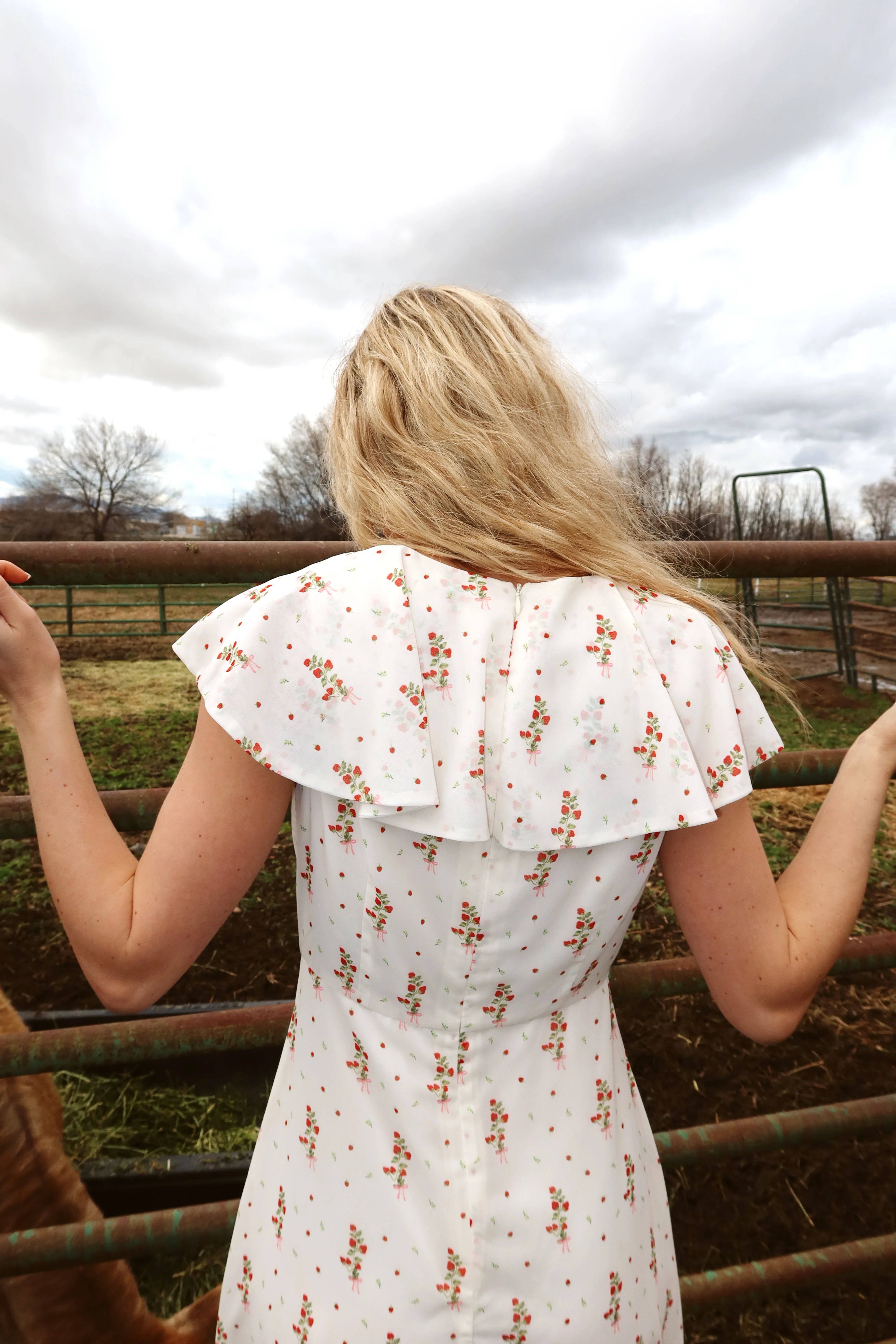 Strawberry Lane Dress - Image 13