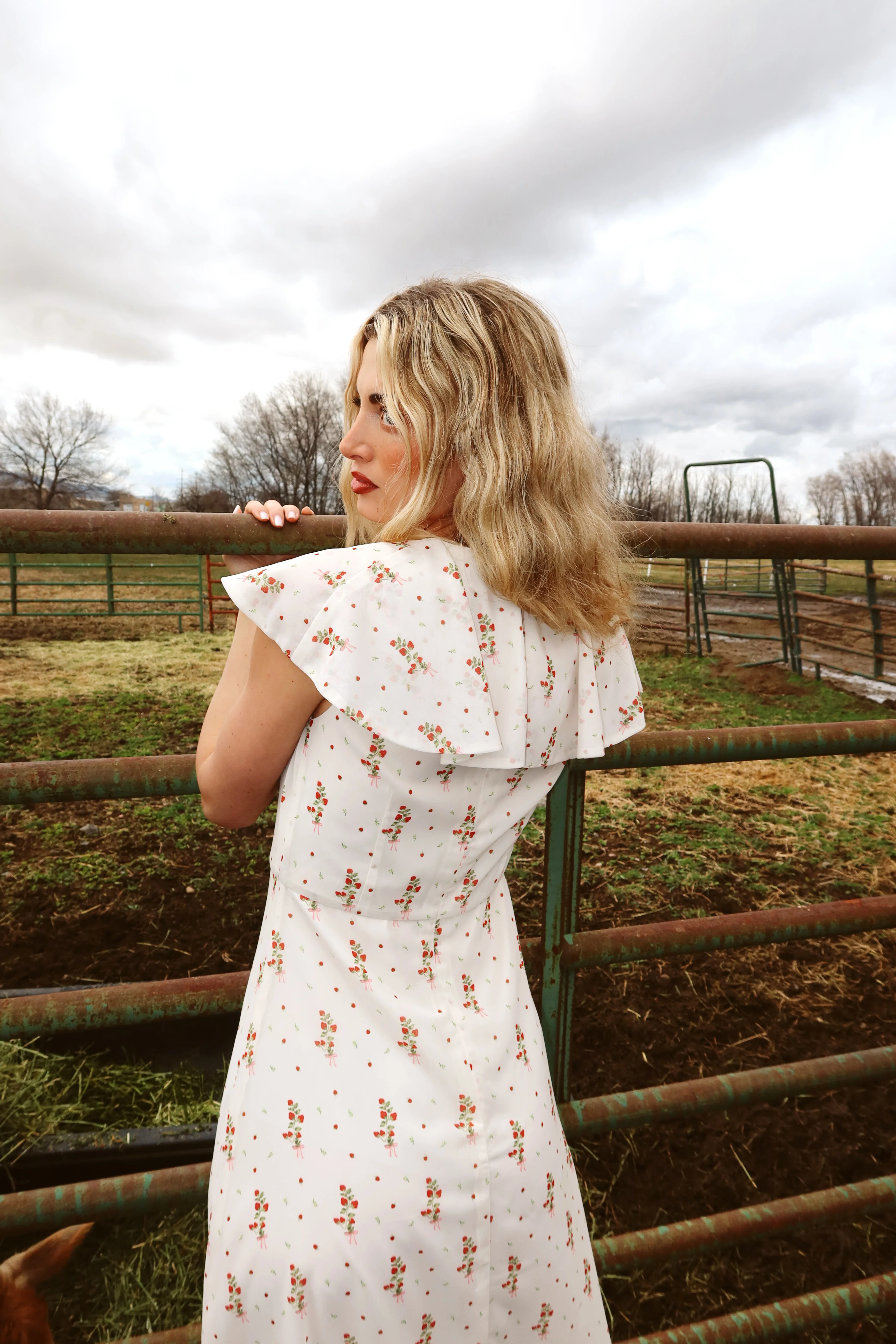 Strawberry Lane Dress - Image 2