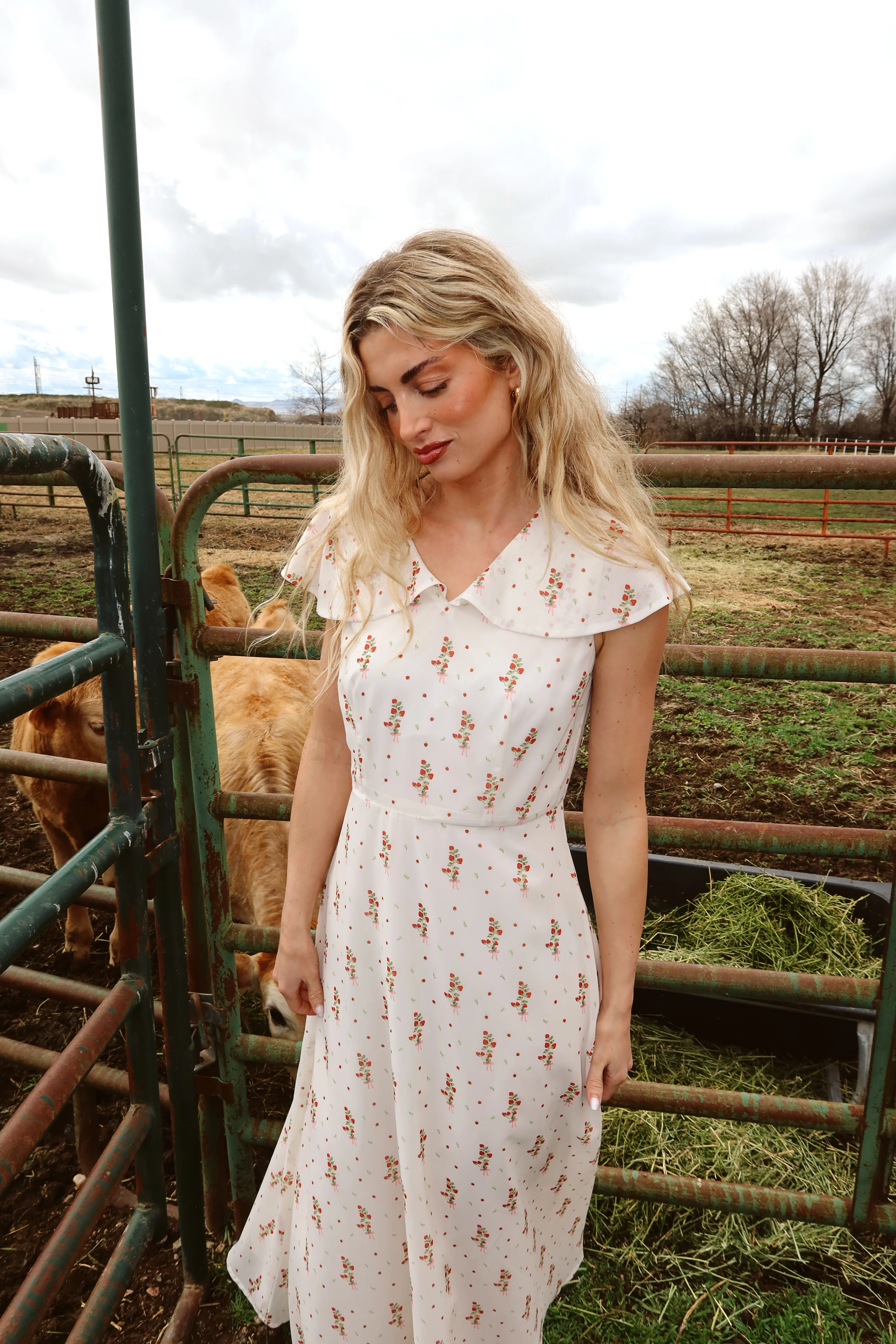 Strawberry Lane Dress - Image 5